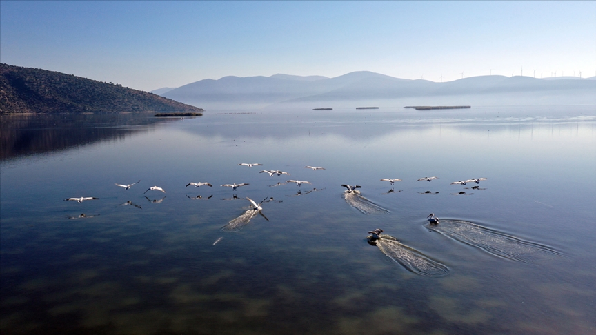 بحيرة "بافا" التركية.. للطيور جنة وللبشر مصيفا