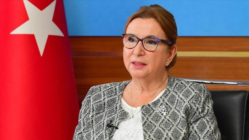 وزيرة تركية: واثقة بتحقيق أهداف "البرنامج الاقتصادي الجديد"