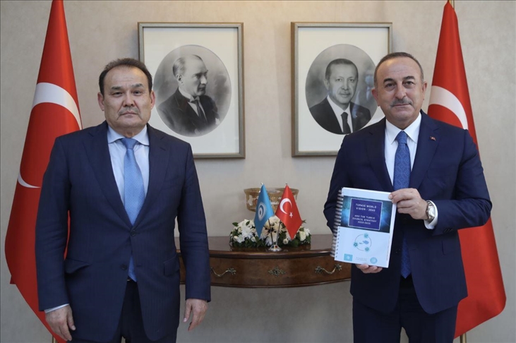 أنقرة.. تشاووش أوغلو يلتقي رئيس "المجلس التركي"