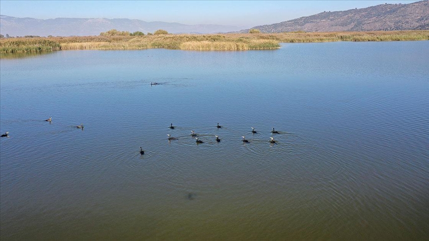 بحيرة عذاب.. وجهة مفضلة للطيور وعشّاق التصوير في تركيا