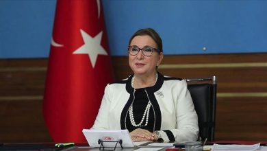وزيرة تركية: نتطلع لاتفاقية تجارة حرة مع بريطانيا