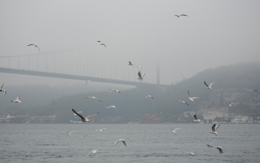 إسطنبول.. تعليق حركة السفن في مضيق البوسفور