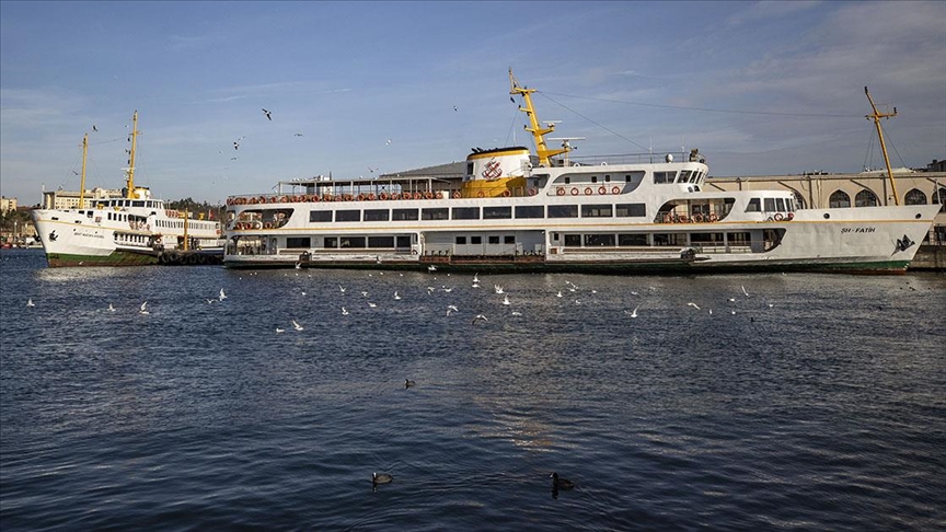 شتاء إسطنبول.. طيور مائية مهاجرة في مضيق البوسفور