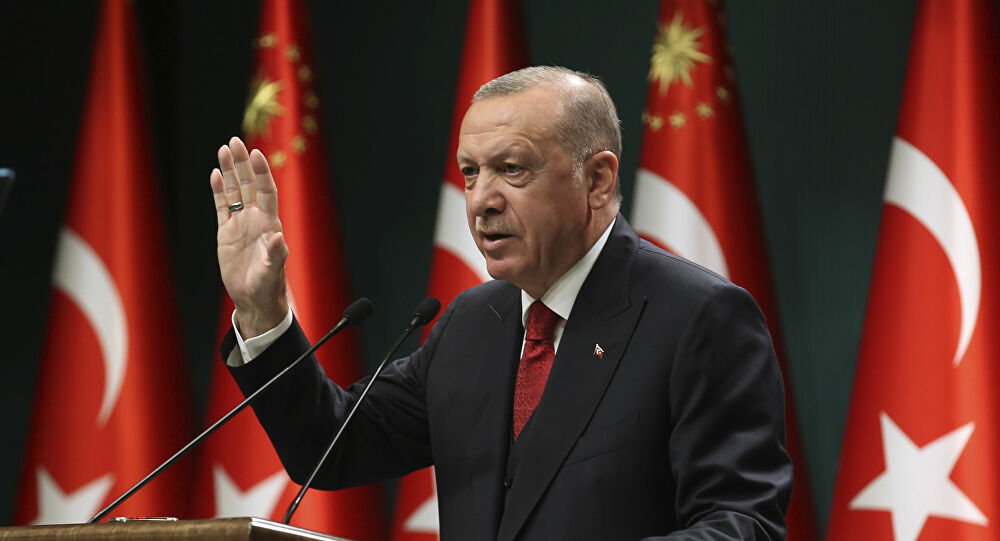 أردوغان: خطة عمل حقوق الإنسان ستطبق في غضون عامين