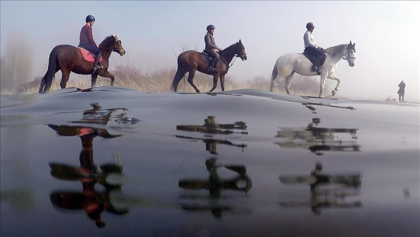 على ظهور الخيول.. جولات لاستكشاف الطبيعة في بورصة التركية 