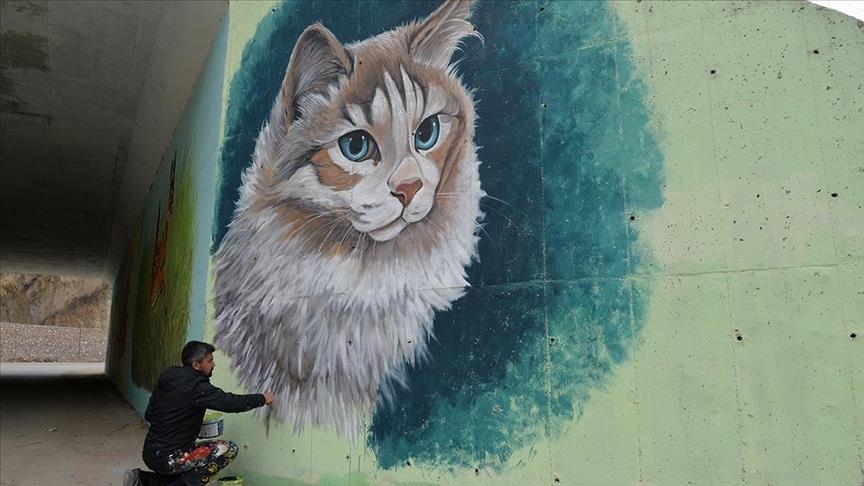 فنان يزين شوارع ولاية "بيلاجك" بجداريات غرافيتي