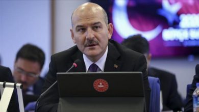 أنقرة: استسلام 243 إرهابيا من "بي كا كا" في 2020