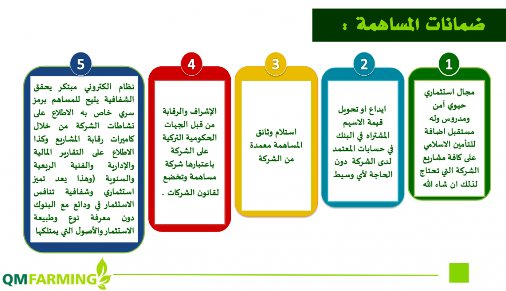 الضمانات للمساهمين
